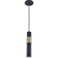 Passwell 1LT Pendant