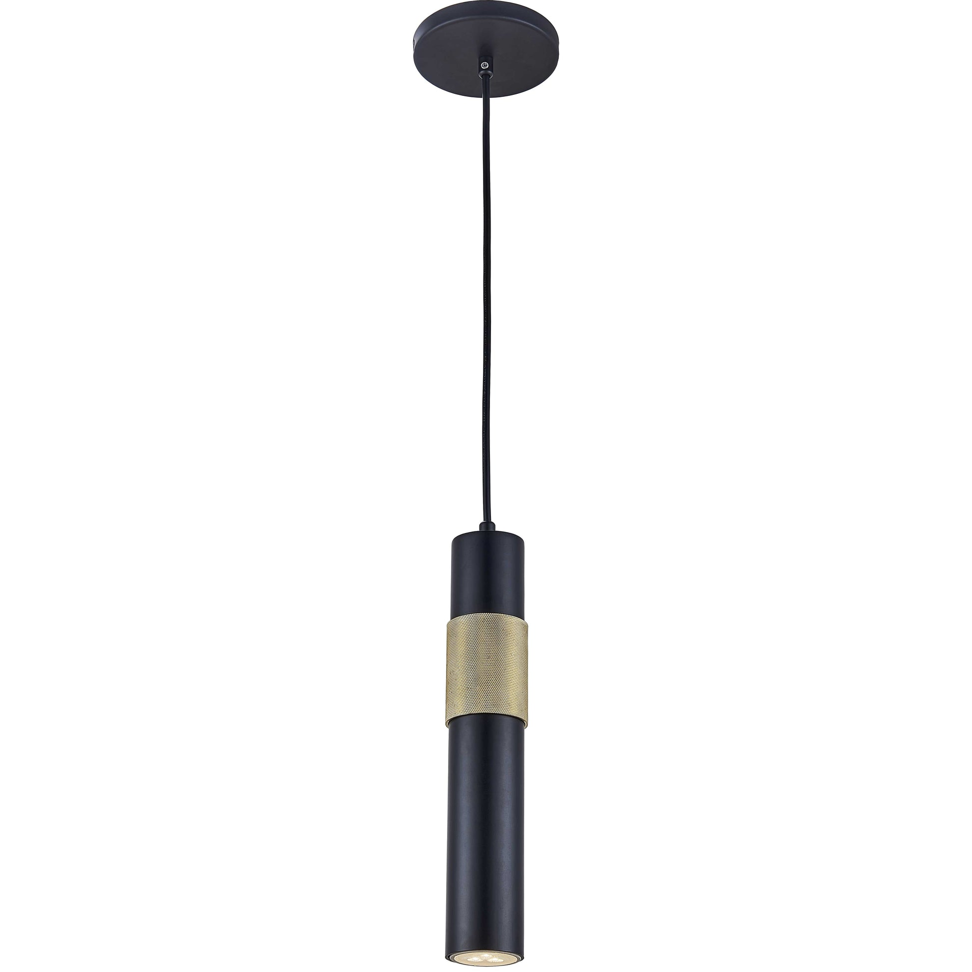 Passwell 1LT Pendant