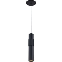 Passwell 1LT Pendant