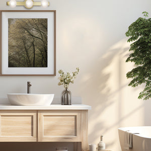 Raleigh 3LT Vanity Wall Sconce