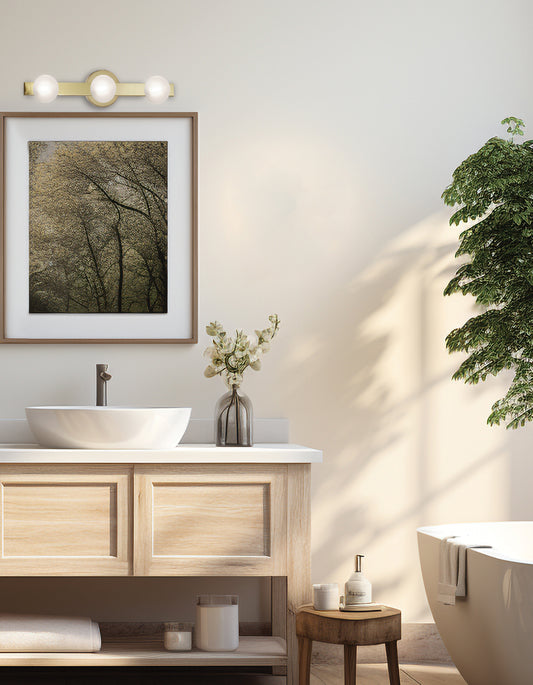 Raleigh 3LT Vanity Wall Sconce