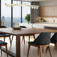 Raleigh 9LT Linear Pendant