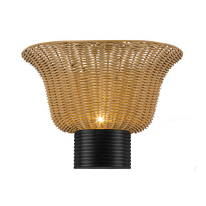 Rancho Wall/Vanity Light