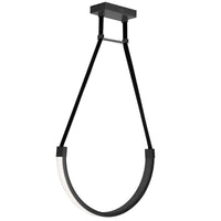 Regan 30W Pendant