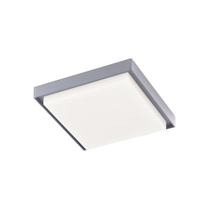 Ridge LED Exterior Ceiling