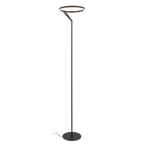 Roda 13-in Floor Lamp