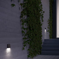 Roto Exterior Wall/Step Light
