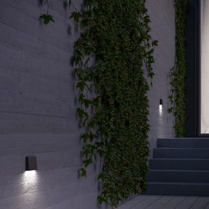 Roto Exterior Wall/Step Light