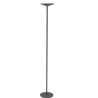 Raquel CCT Floor Lamp