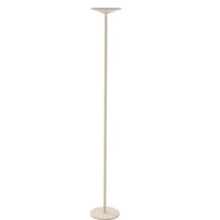 Raquel CCT Floor Lamp