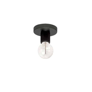 Roswell 1LT Flush Mount