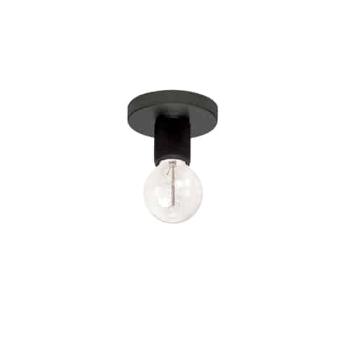 Roswell 1LT Flush Mount