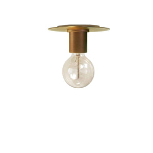 Roswell 1LT Flush Mount