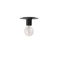 Roswell 1LT Flush Mount
