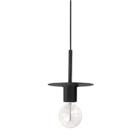 Roswell 1LT Pendant