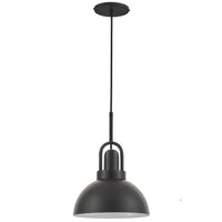 Reveka 1LT Pendant