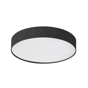 Rynn Flush Mount