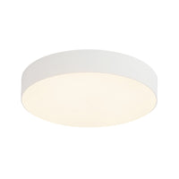 Rynn Flush Mount