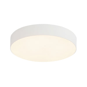 Rynn Flush Mount