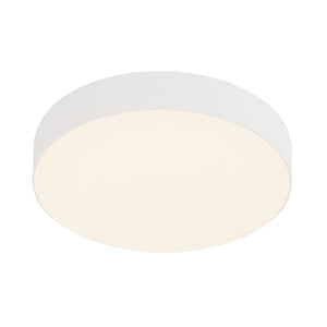 Rynn Flush Mount