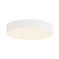Rynn Flush Mount
