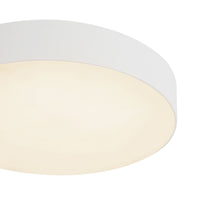 Rynn Flush Mount