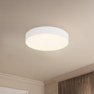 Rynn Flush Mount