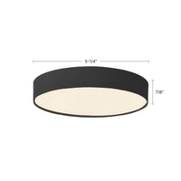 Rynn Flush Mount