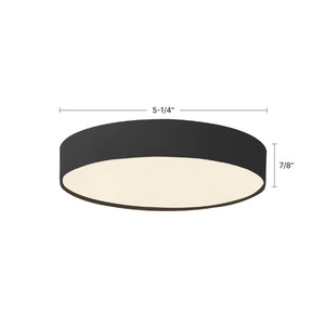 Rynn Flush Mount