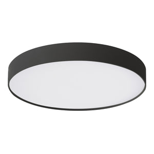 Rynn Flush Mount