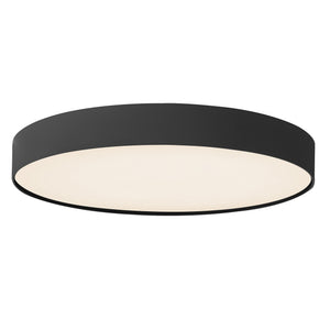 Rynn Flush Mount