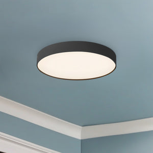 Rynn Flush Mount