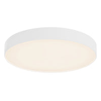 Rynn Flush Mount