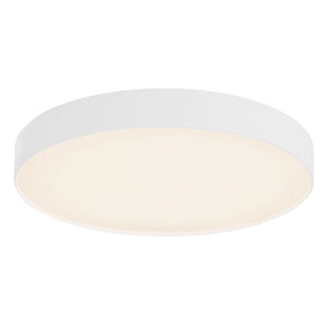 Rynn Flush Mount