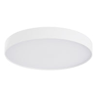 Rynn Flush Mount
