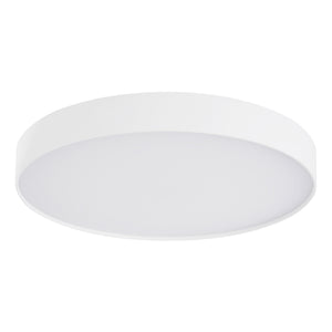 Rynn Flush Mount