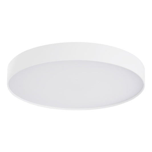 Rynn Flush Mount