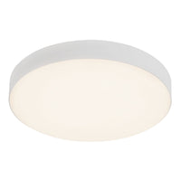 Rynn Flush Mount