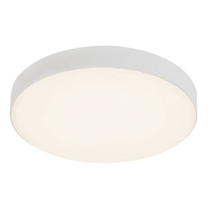 Rynn Flush Mount