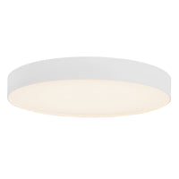 Rynn Flush Mount