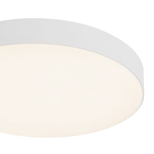 Rynn Flush Mount