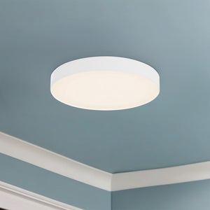 Rynn Flush Mount