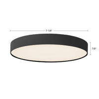 Rynn Flush Mount