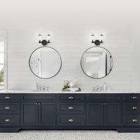 Revolve Wall/Vanity Light