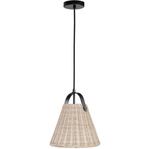 Shenandoah 1LT Pendant