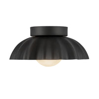 Soleil Wall/Vanity Light