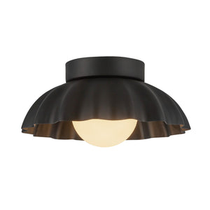 Soleil Wall/Vanity Light