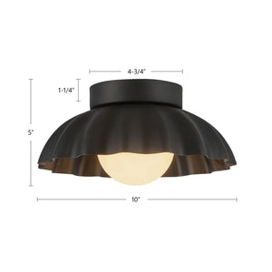 Soleil Wall/Vanity Light