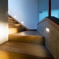 Sonic Exterior Wall/Step Light
