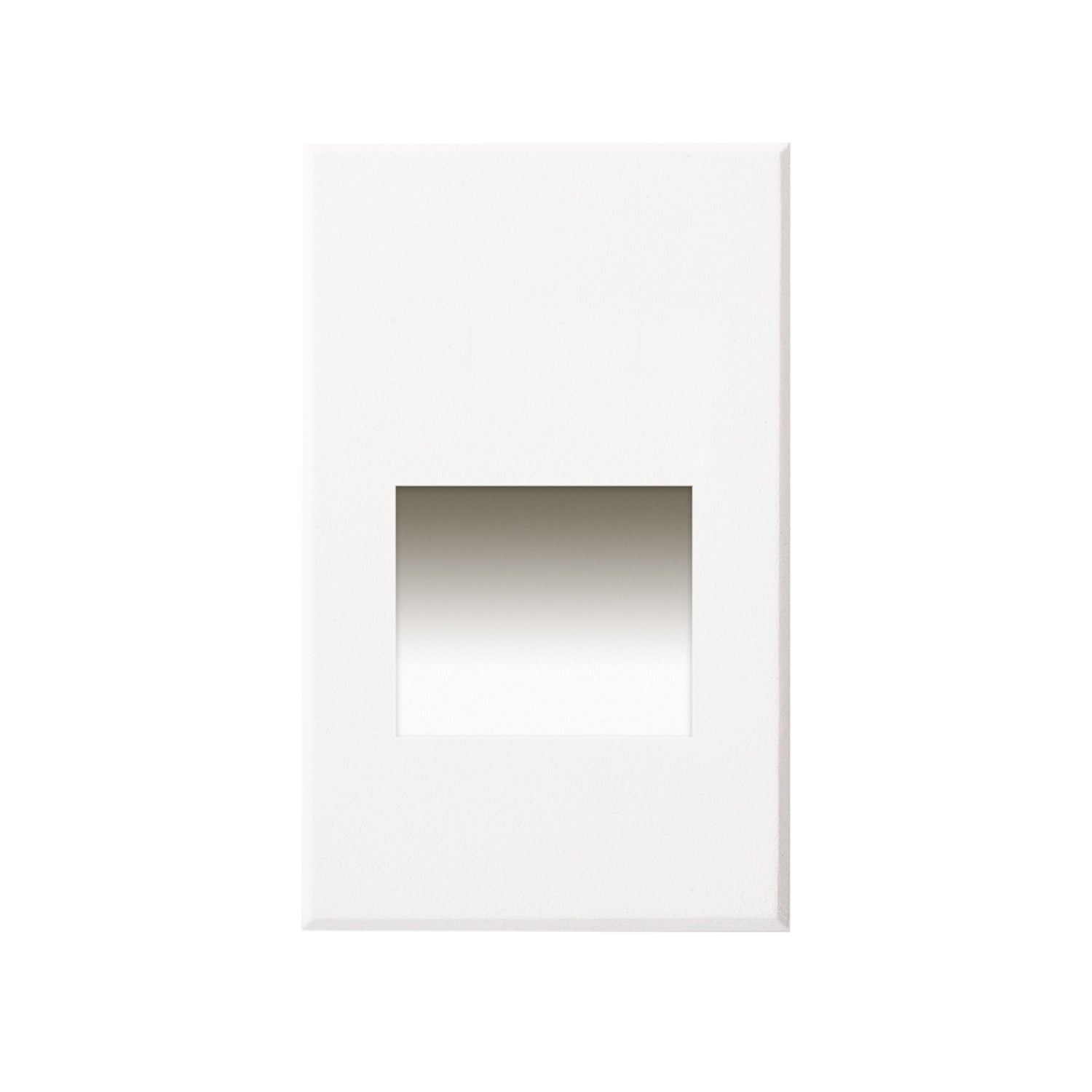 Sonic Exterior Wall/Step Light